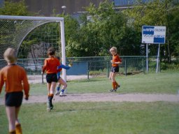 0DIA 1984 RAVA PUPS 1